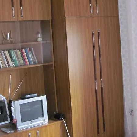 Guest house Snezhana Yagodina